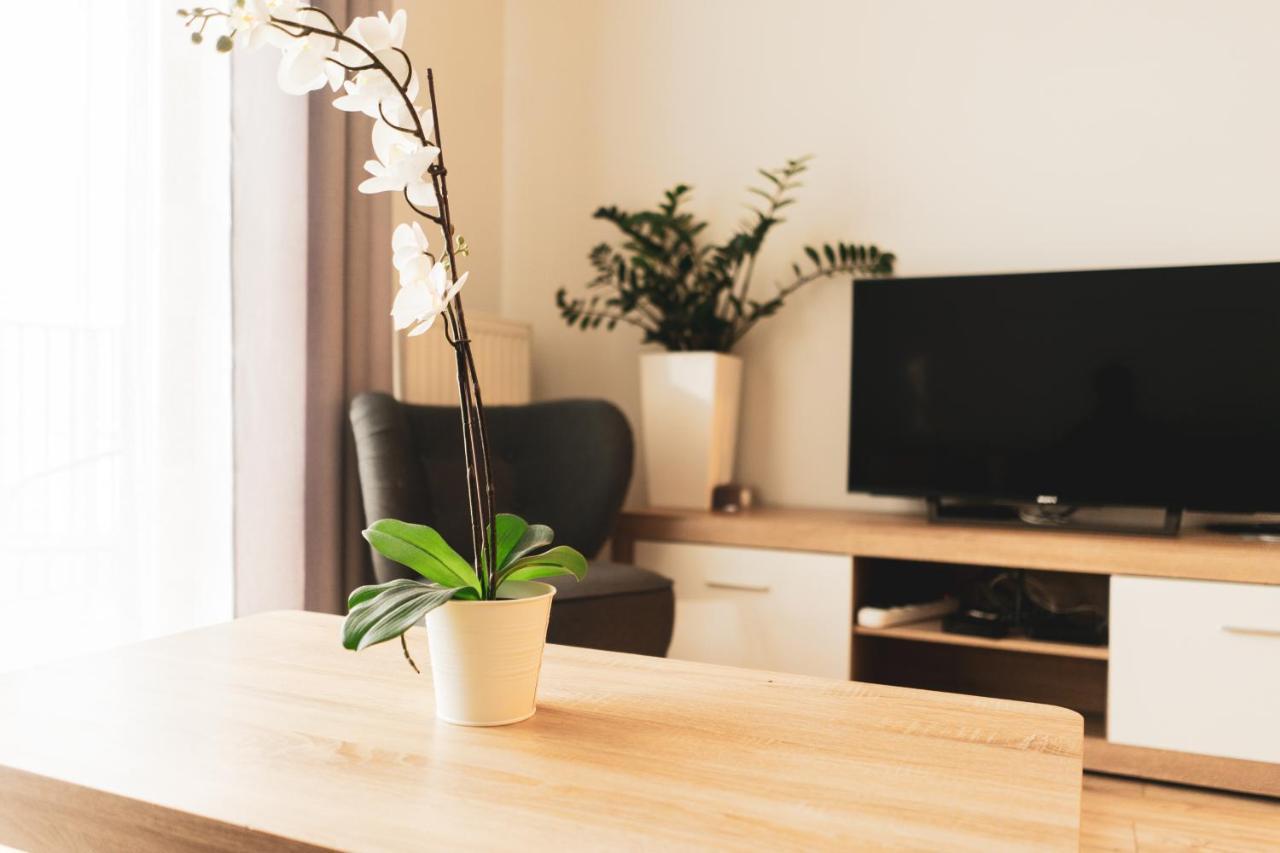 Przy Mocaku II Apartment Krakow Luaran gambar